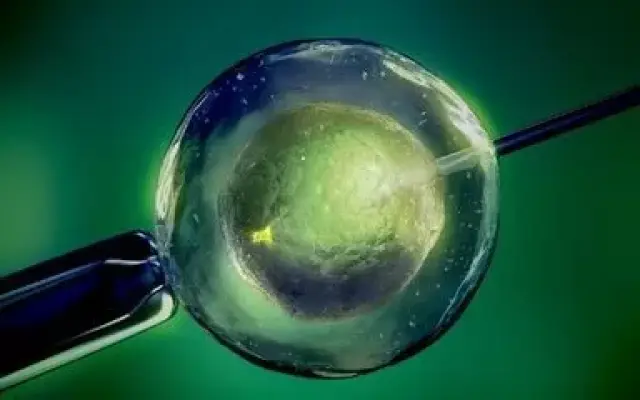 液氮储存